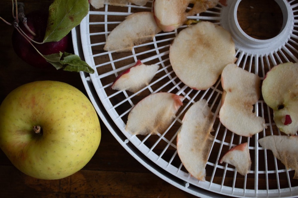Air Fryer Apple Chips Recipe